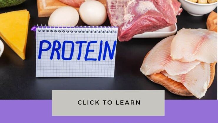 Proteinin üç temel faydası
