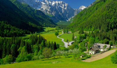 Bitlis’te otomobil uçuruma yuvarlandı: 3 ölü, 5 ağır yaralı