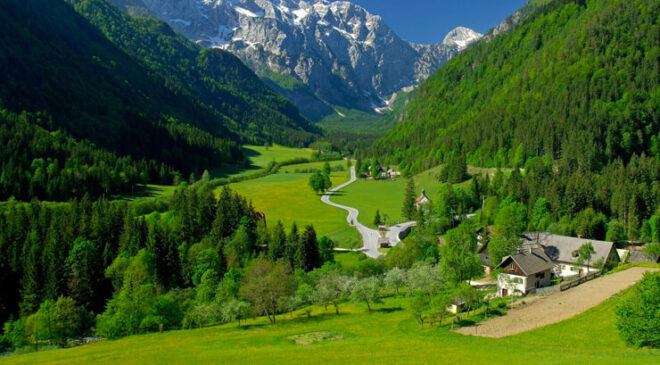 Bitlis’te otomobil uçuruma yuvarlandı: 3 ölü, 5 ağır yaralı