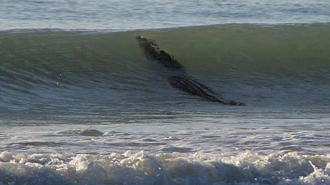 Bu arada, aşağı. Parça deux.