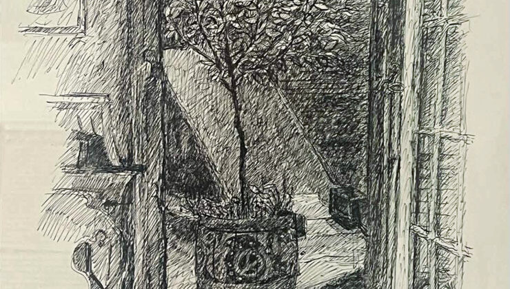 Jason Harvey: Barış Ağacı