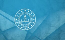 Milli Eğitim Müdürlükleri Yönetmeliği, Resmi Gazete’de