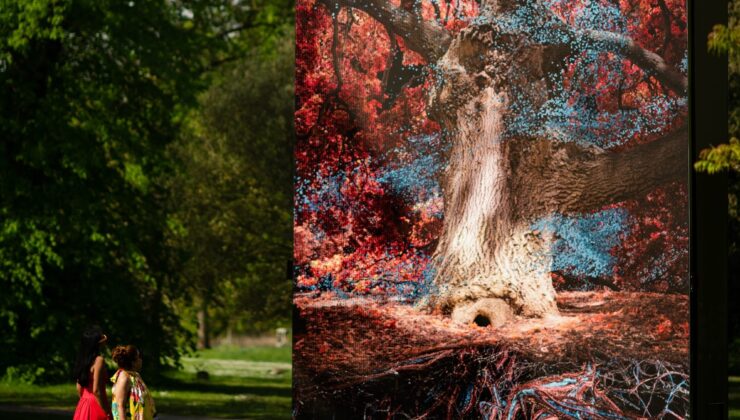 ‘Meşe’ de, Kew Gardens’taki muhteşem bir ağaç sürükleyici bir ‘dijital çift’ alıyor