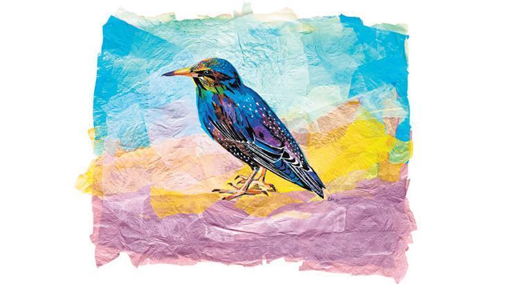 Plastik atıklardan tabloya