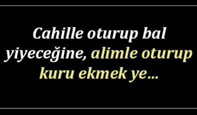 Mevlana’nın Okudukça Düşündürecek En Güzel Sözleri