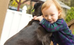 Köpeklerin kanserden kurtulmasına yardımcı olan bir tedavi artık çocuklarda kullanılıyor