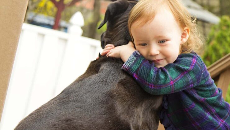 Köpeklerin kanserden kurtulmasına yardımcı olan bir tedavi artık çocuklarda kullanılıyor