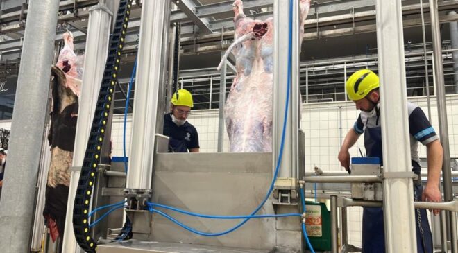 Kurban Bayramı'nda kist hidatik tehlikesi: Sakatatları rastgele atmayın