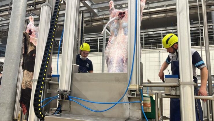 Kurban Bayramı'nda kist hidatik tehlikesi: Sakatatları rastgele atmayın