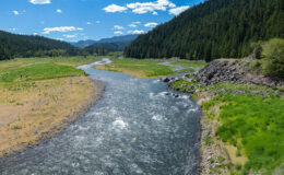 Oregon’un Cascade Range Nehirlerindeki Siyanotoksinler İçme Suyu Akışı için Dokunan Nehirler