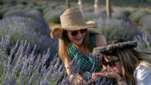 ArcGIS Online Map Viewer allows you to configure animated symbols.