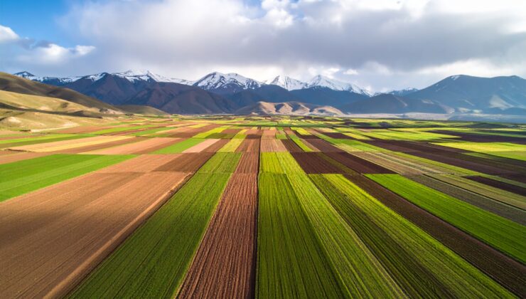 Güneydoğu’da Tarım Politikaları