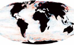 Okyanusun büyük bir kısmı kararıyor ve zaten deniz hayatını etkiliyor