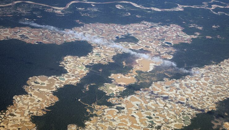 ‘Fırında bir ağaç yetiştirmeye çalışmak gibi’: Altın madenciliği Amazon yağmur ormanlarını kuru emiyor