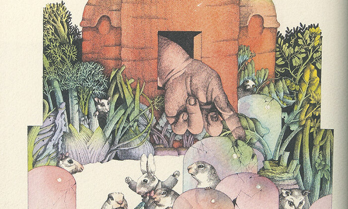 Kitapçı Görüntü Dalış 1