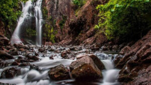 A graphic displaying the six licenses available with ArcGIS. Creator, Professional and Professional Plus licenses allow users to map, analyse and manage data. Viewer, Contributor and Mobile Worker licenses boost collaboration across the organisation.