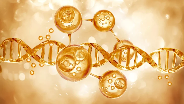 C vitamini cildinizin “gençlik genlerini” çevirir ve yaşa bağlı incelmeyi tersine çevirir