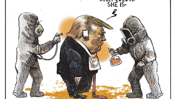 What Kamala has to do