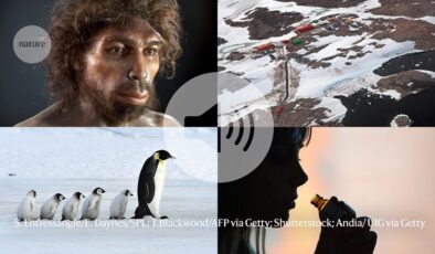 Atalarımız 900.000 yıl önce nüfuslarının neredeyse %99’unu kaybetti