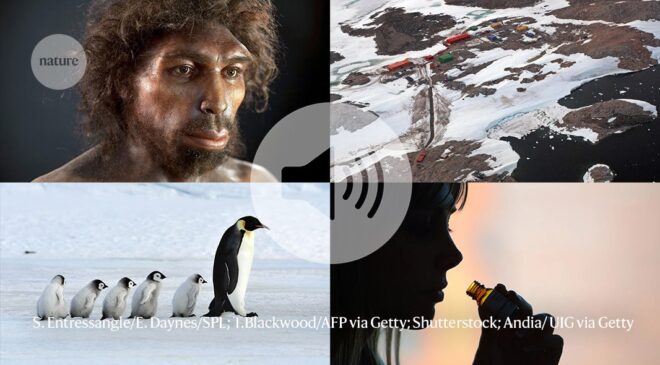 Atalarımız 900.000 yıl önce nüfuslarının neredeyse %99’unu kaybetti