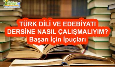 Türk Dili ve Edebiyatı Dersine Nasıl Çalışmalıyım?