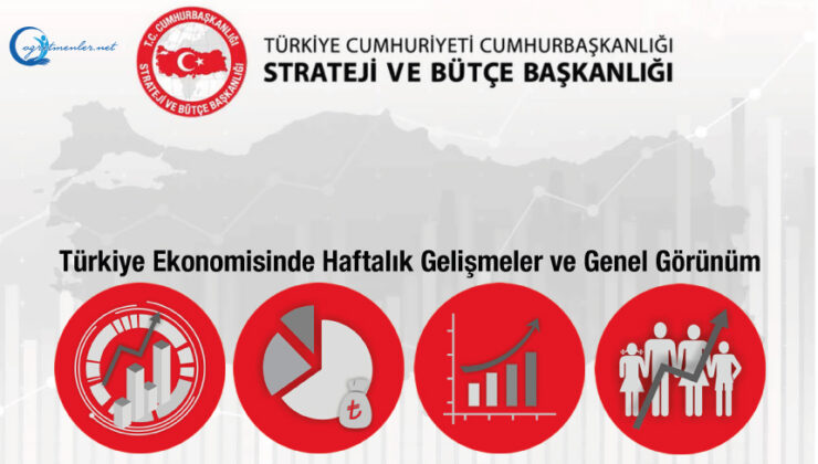 Türkiye Ekonomisinde Haftalık Gelişmeler ve Genel Görünüm 16.5.2025