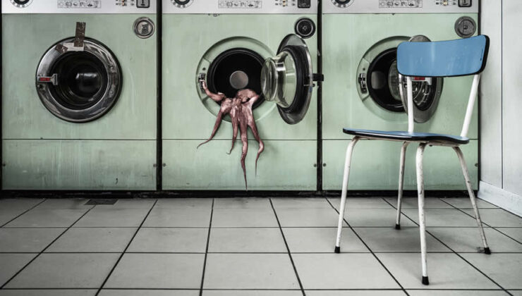 2025 Dünya Gıda Fotoğraf Ödülleri’nden muhteşem kazanan fotoğraflar