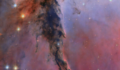 Hubble Spies Eagle Nebula Kozmik Sütunu