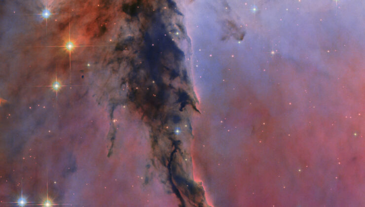 Hubble Spies Eagle Nebula Kozmik Sütunu