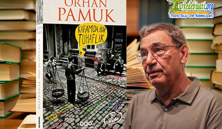 Kafamda Bir Tuhaflık (roman özeti) – Orhan Pamuk