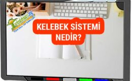 Kelebek Sistemi Nedir? – Türk Dili ve Edebiyatı