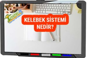 Kelebek Sistemi Nedir? - Türk Dili ve Edebiyatı