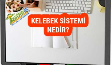 Kelebek Sistemi Nedir? – Türk Dili ve Edebiyatı