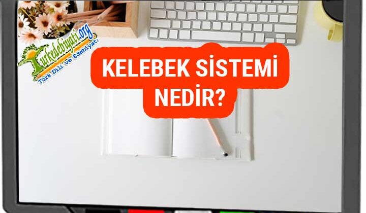 Kelebek Sistemi Nedir? – Türk Dili ve Edebiyatı
