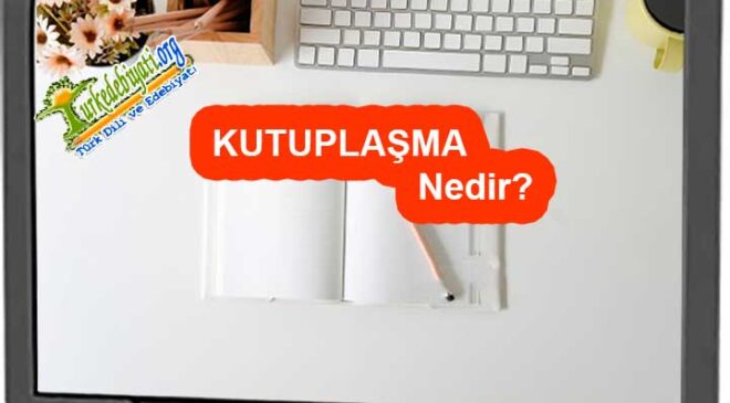 Kutuplaşma Nedir?