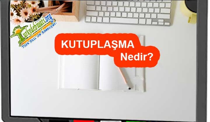 Kutuplaşma Nedir?
