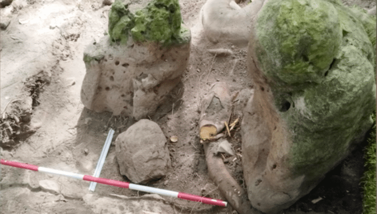 Guatemala’da 3000 yaşındaki Maya kompleksi ortaya çıktı