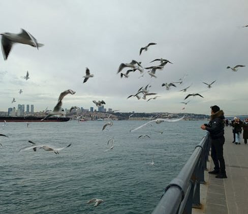 Doğu Anadolu Bölgesi’nde Kış Turizmi