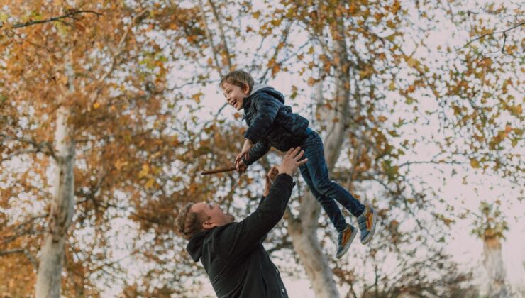Ege Bölgesi’nde Zeytincilik