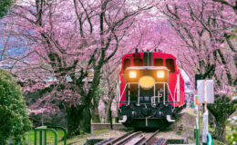 Japon trenleri neden her zaman zamanında gelir?