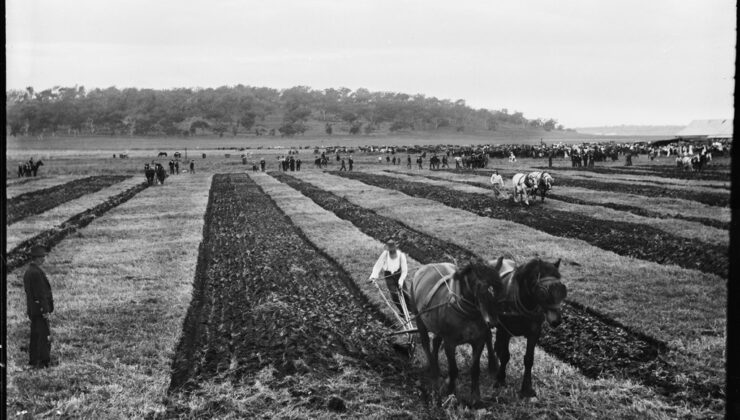 Plowing Match