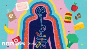 Sağlıklı bağırsak rehberi: Ne yemeliyiz, nelerden kaçınmalıyız? - BBC News Türkçe