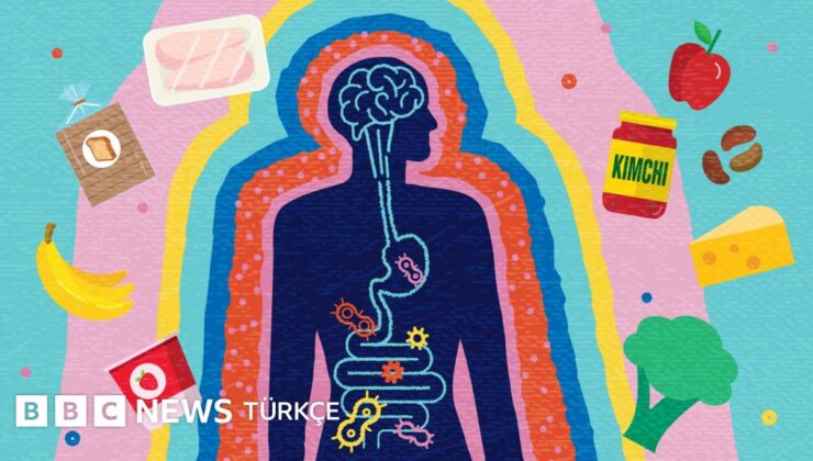 Sağlıklı bağırsak rehberi: Ne yemeliyiz, nelerden kaçınmalıyız? – BBC News Türkçe
