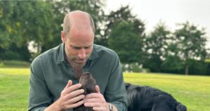 Kate Middleton, Prens William'ın doğum gününü köpek fotoğraflarıyla kutladı