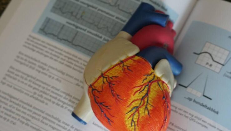 Kalp krizi ölümleri 50 yılda yüzde 90 azaldı: Uzmanlar üç hastalık riskine dikkat çekiyor