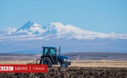 Güneydoğu ve Doğu Anadolu’da yeni süreçten ekonomik beklentiler ne? – BBC News Türkçe