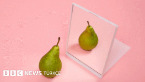 Beş efsane ve gerçek: Kiloluların metabolizması daha mı yavaş? - BBC News Türkçe