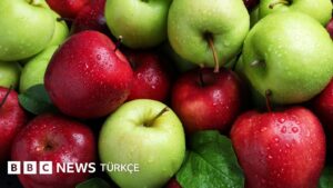 Her gün bir elma yemek sağlığımız için gerçekten faydalı mı? - BBC News Türkçe