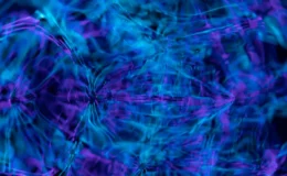 Çarpıcı görüntü oluşturma için akı kullanma: Adım adım kılavuz