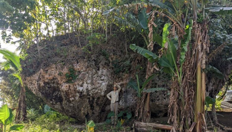 Tonga’daki Clifftop’ta dev boulder 50 metre yüksekliğinde bir dalga tarafından taşındı